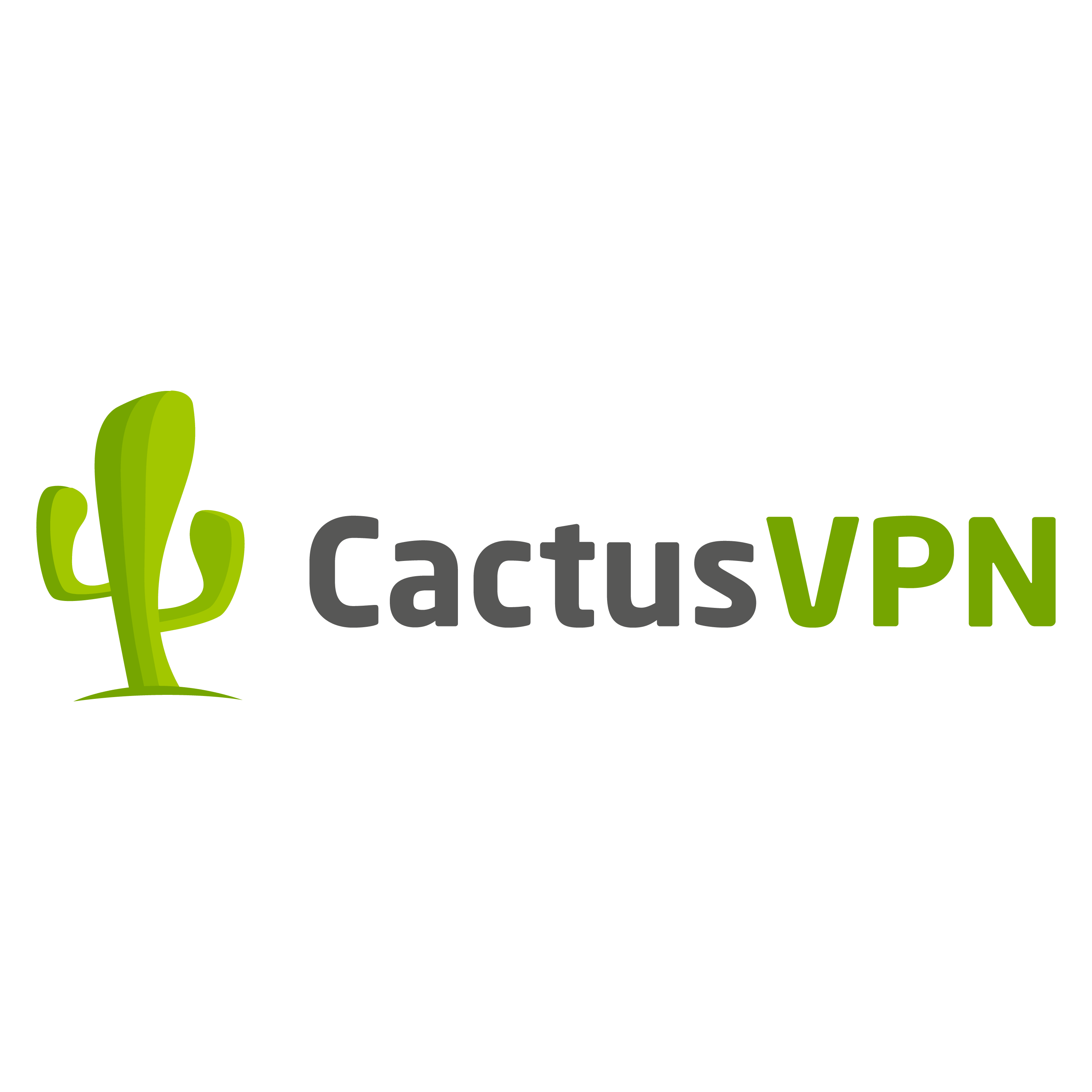 CactusVPN