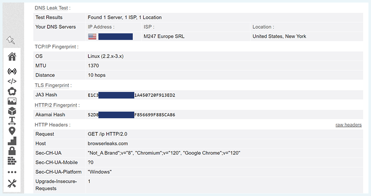 The screenshot of IPVanish's DNS Leak tests