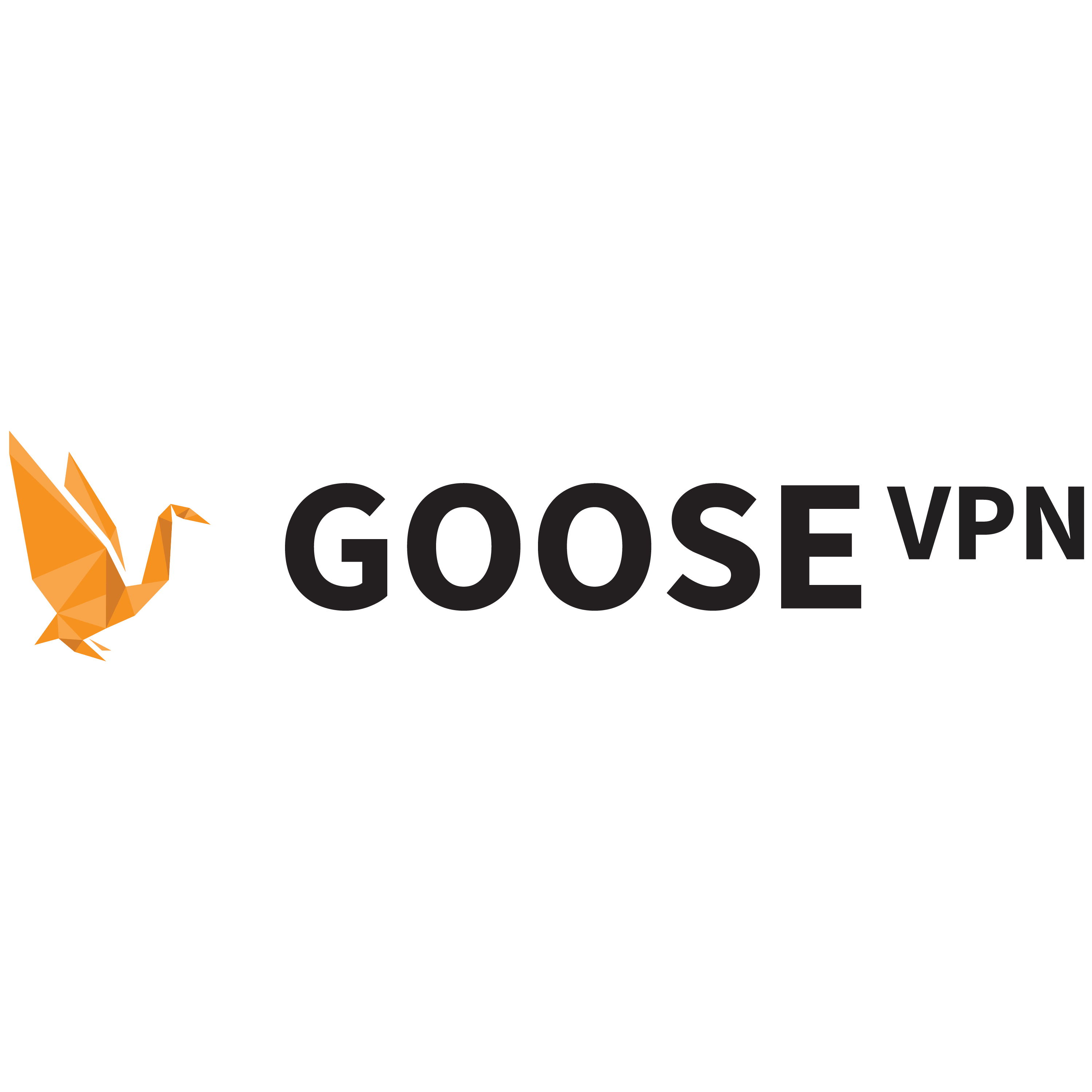 GOOSE VPN