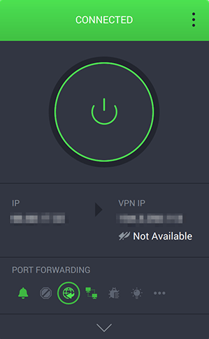 Screenshot of Intego Privacy Protection, port forwarding