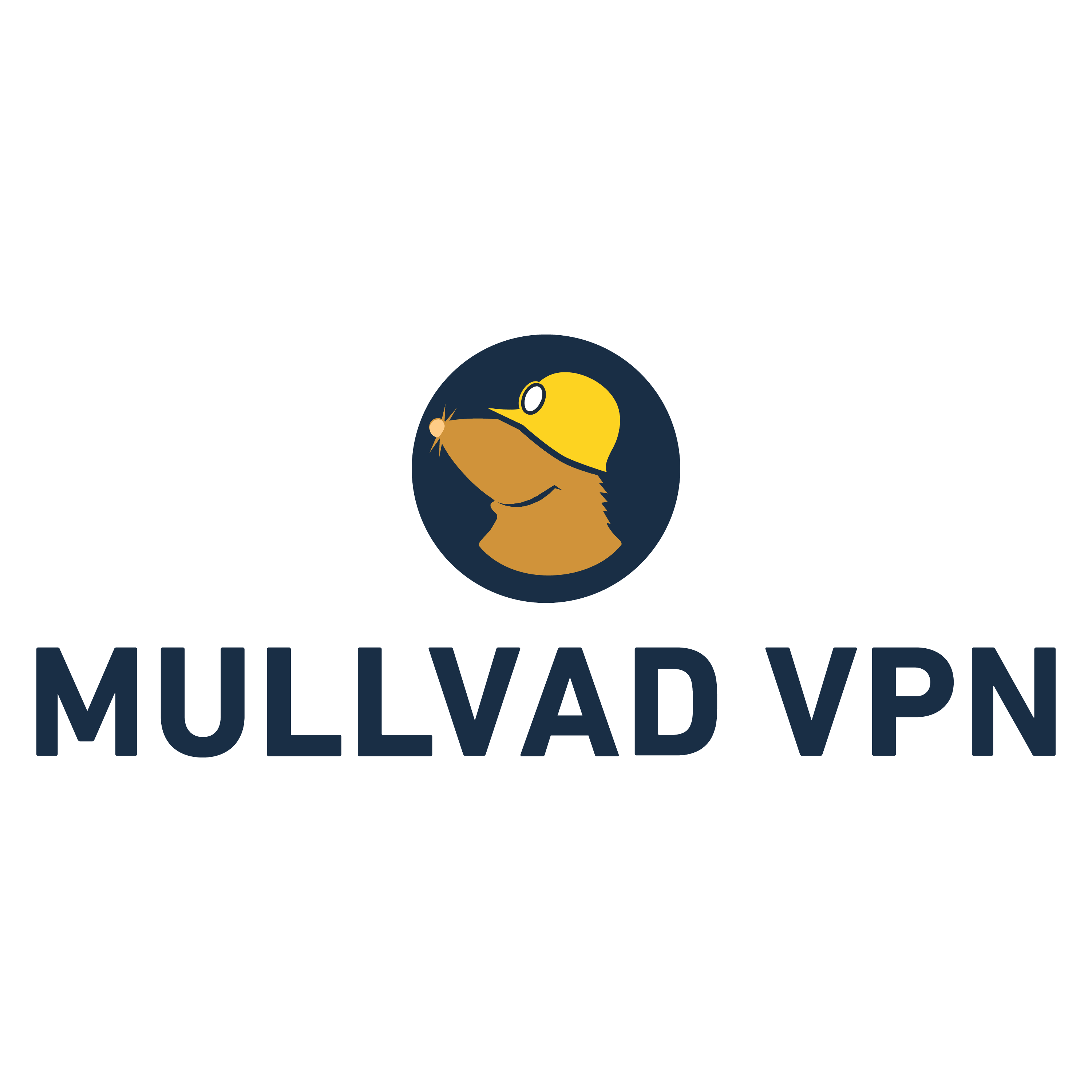 Mullvad VPN