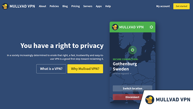 Screenshot of Mullvad VPN, website homepage with added logo in the corner