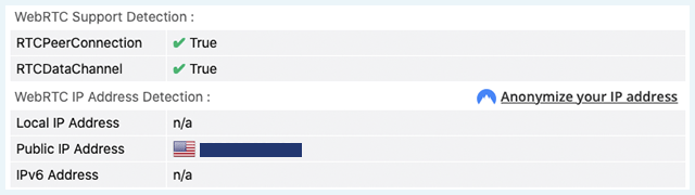 Screenshot of Norton Secure VPN, WebRTC Leak
