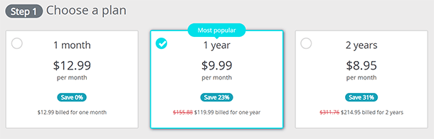 Screenshot of Perfect Privacy VPN, Pricing plans