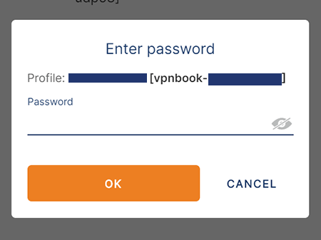 Screenshot of VPNBook, enter password