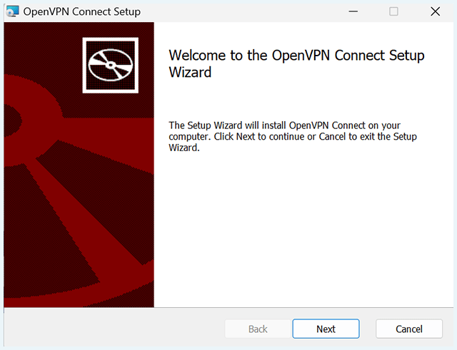 Screenshot of OpenVPN, setup