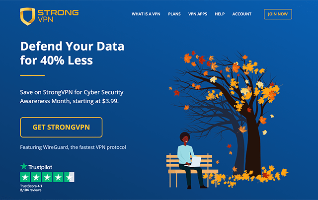 StrongVPN website homepage screenshot