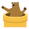 TunnelBear