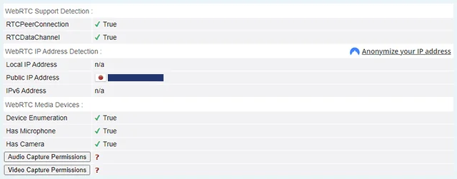 Screenshot of VPN Gate, webRTC browser leaks